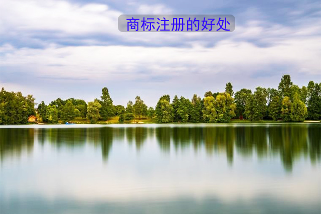 企业注册商标