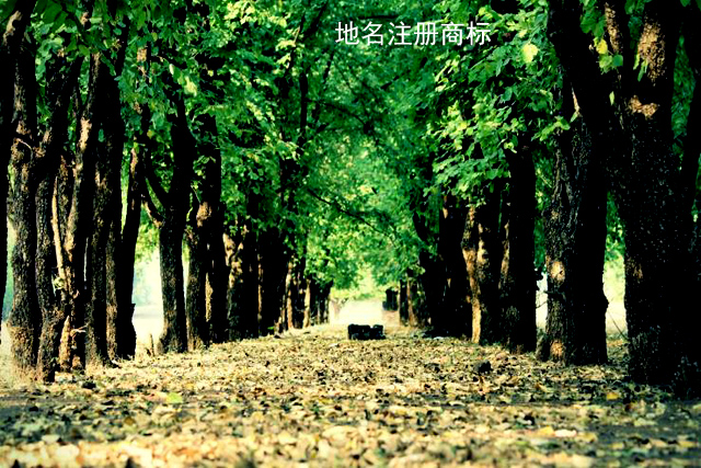 使用地名注册商标可以吗?