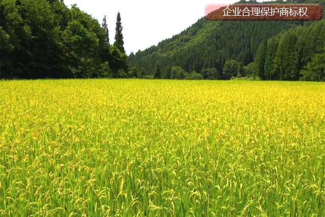 企业应该如何合理使用注册商标不被侵权?