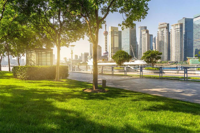 美容商标注册哪些