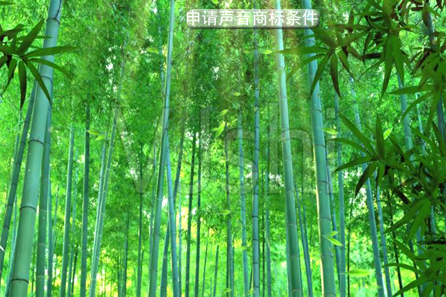 申请声音商标需要满足什么条件?