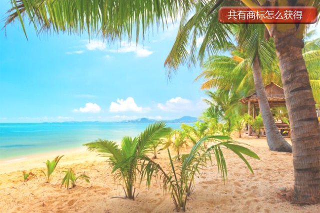 共有商标怎么获得