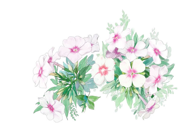 商标注册后可以tm是啥意思